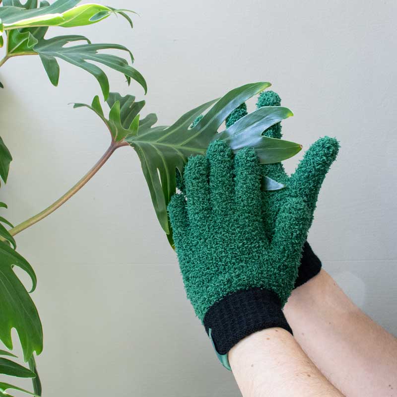 Leaf Love Gloves – Eco Plant Care by Botanopia
