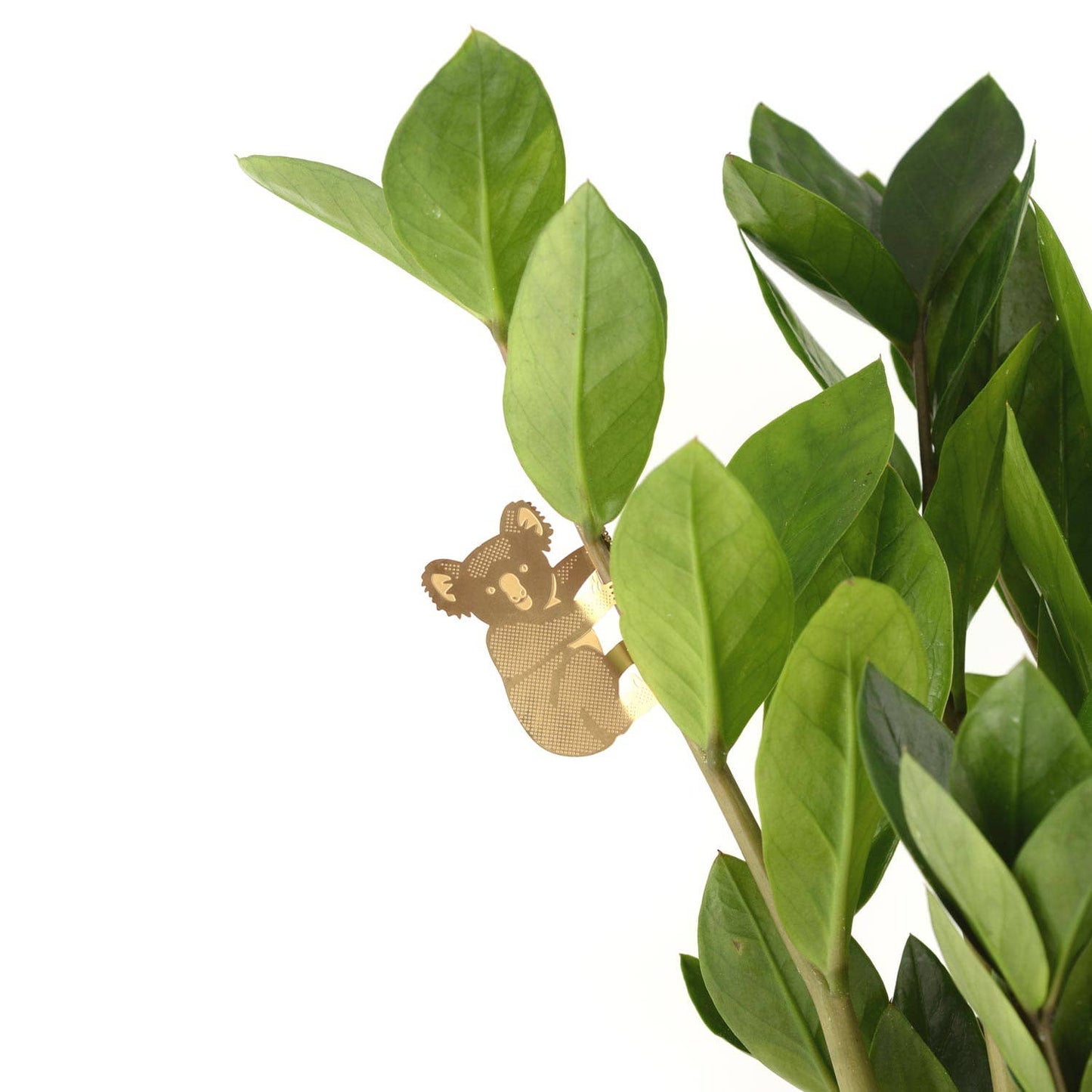 Small brown bear figurine on a green leafy branch with a white background