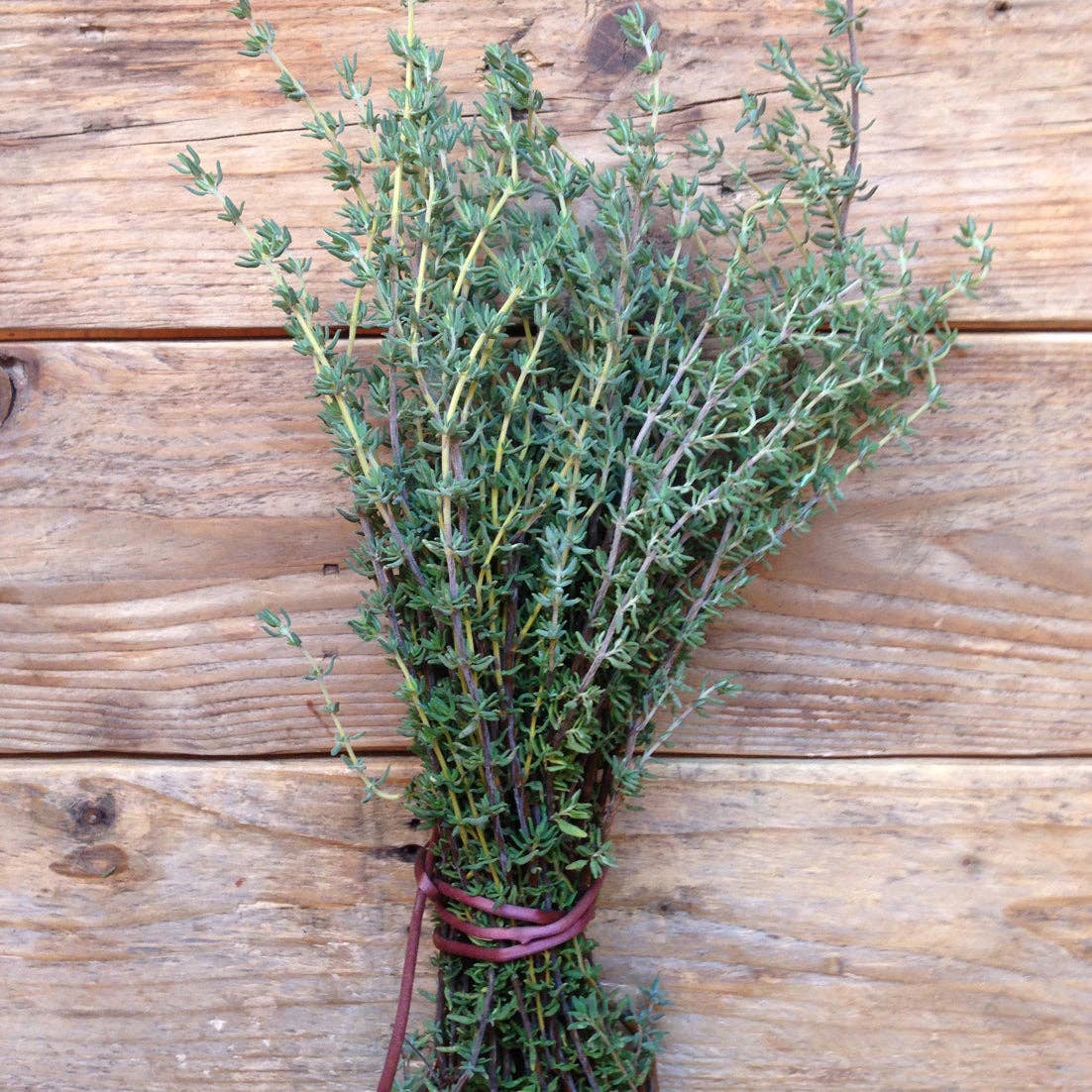 Bunch of fresh thyme on a wooden surface