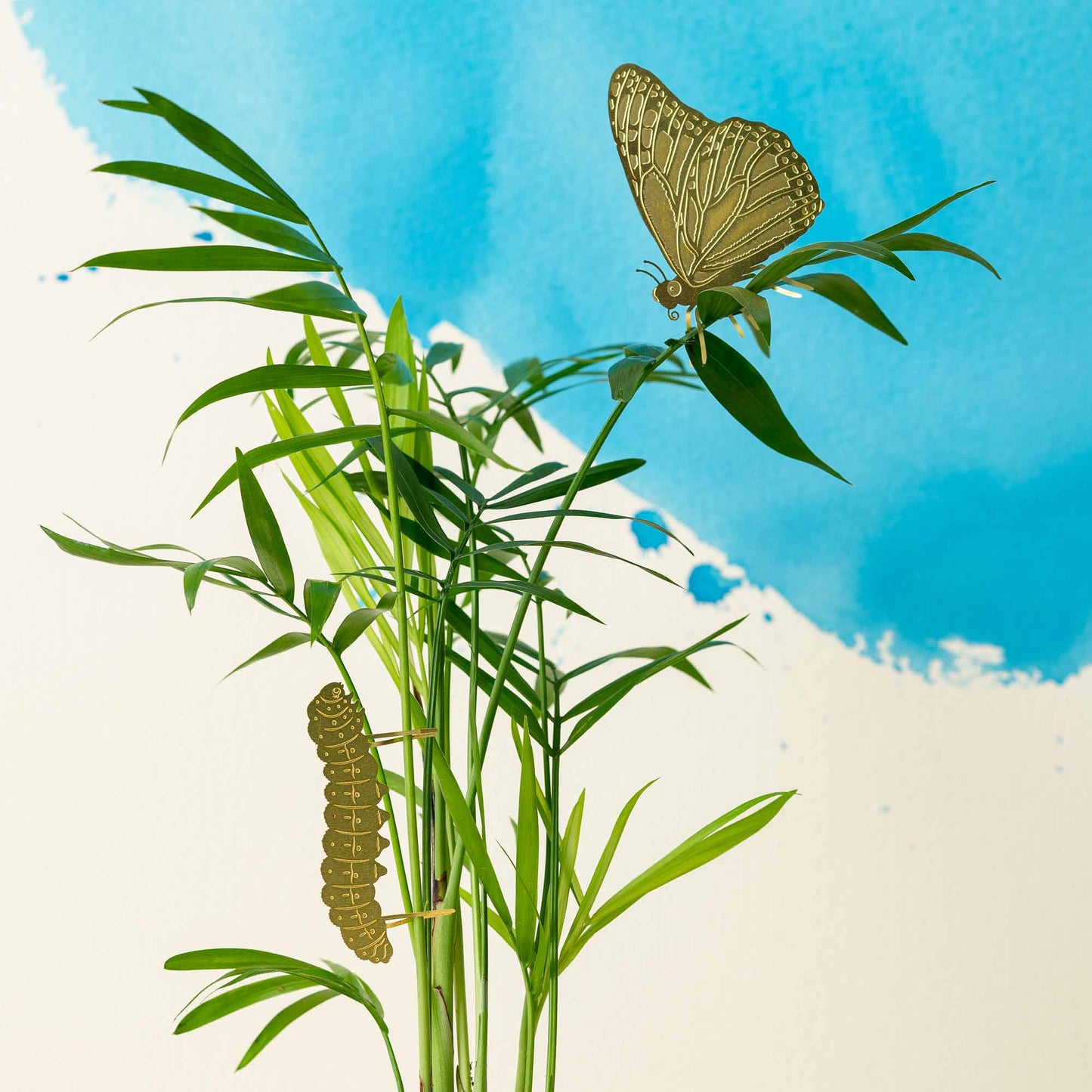 Butterfly, house plant decoration