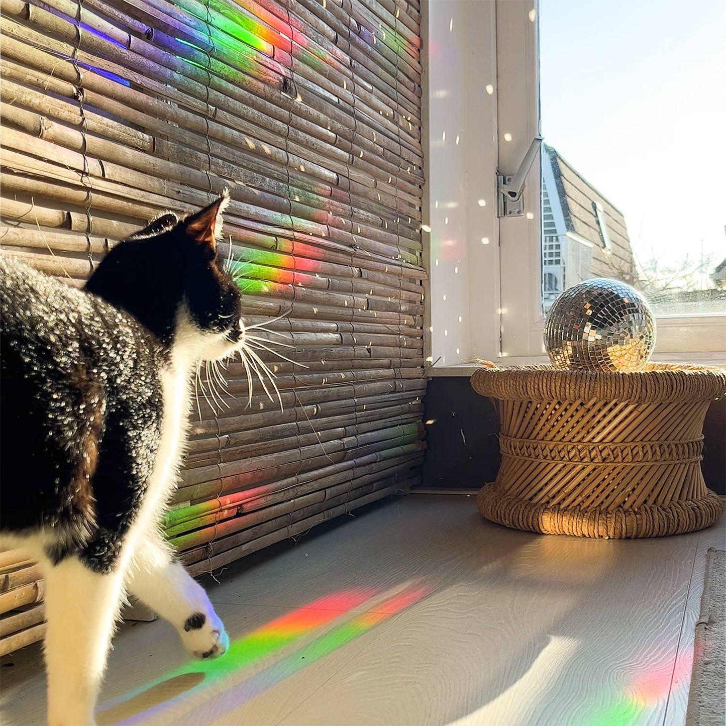 Rainbow maker sticker - Greenhouse Glow