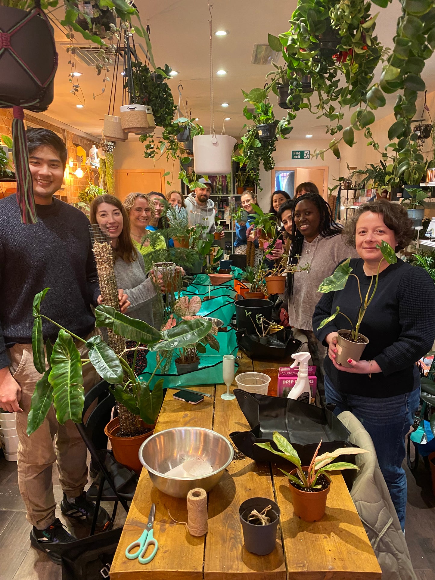 People interacting with plants in a room with tables and chairs.
