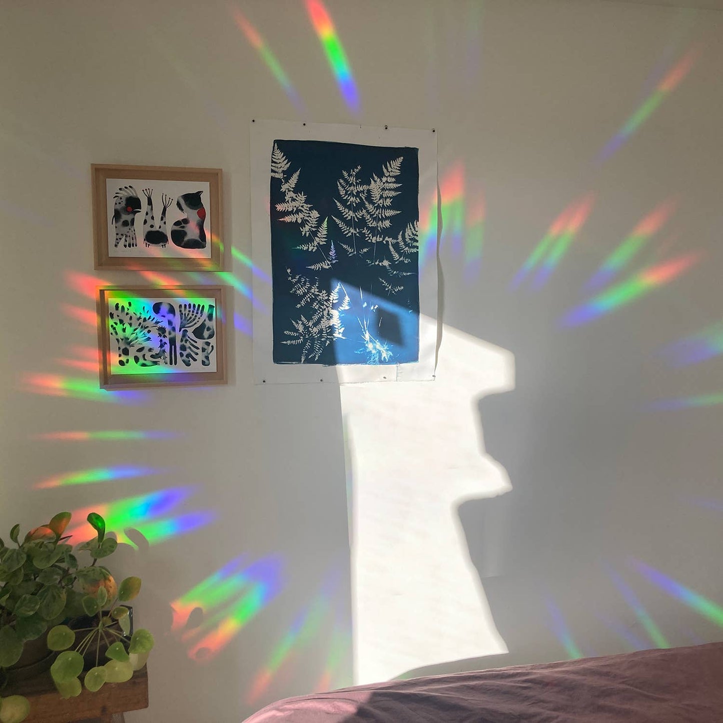 Colorful rainbow patterns on a wall with framed artwork and a plant.