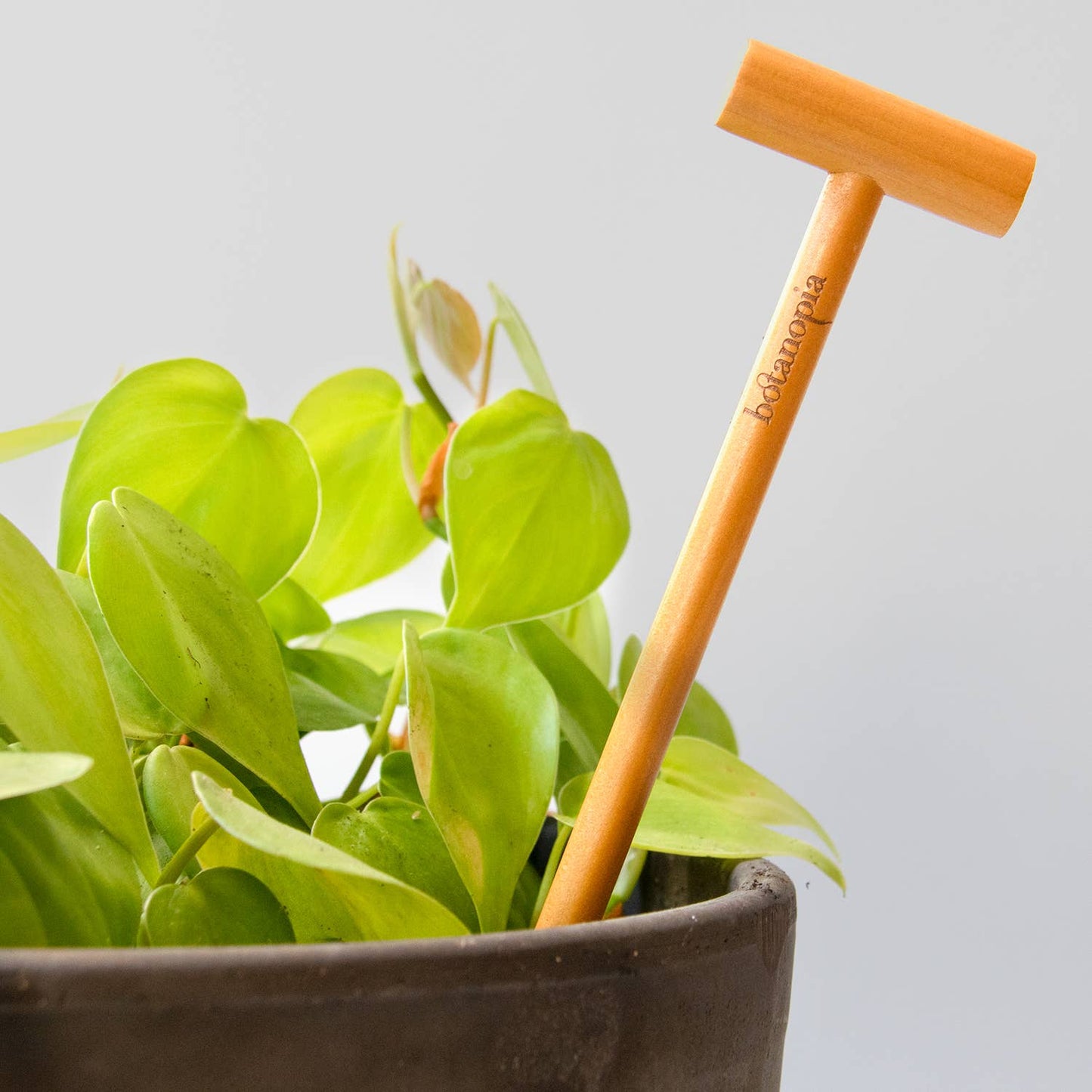 Bamboo trowel with 'Bamboop' branding in a pot of green leaves on a light gray background