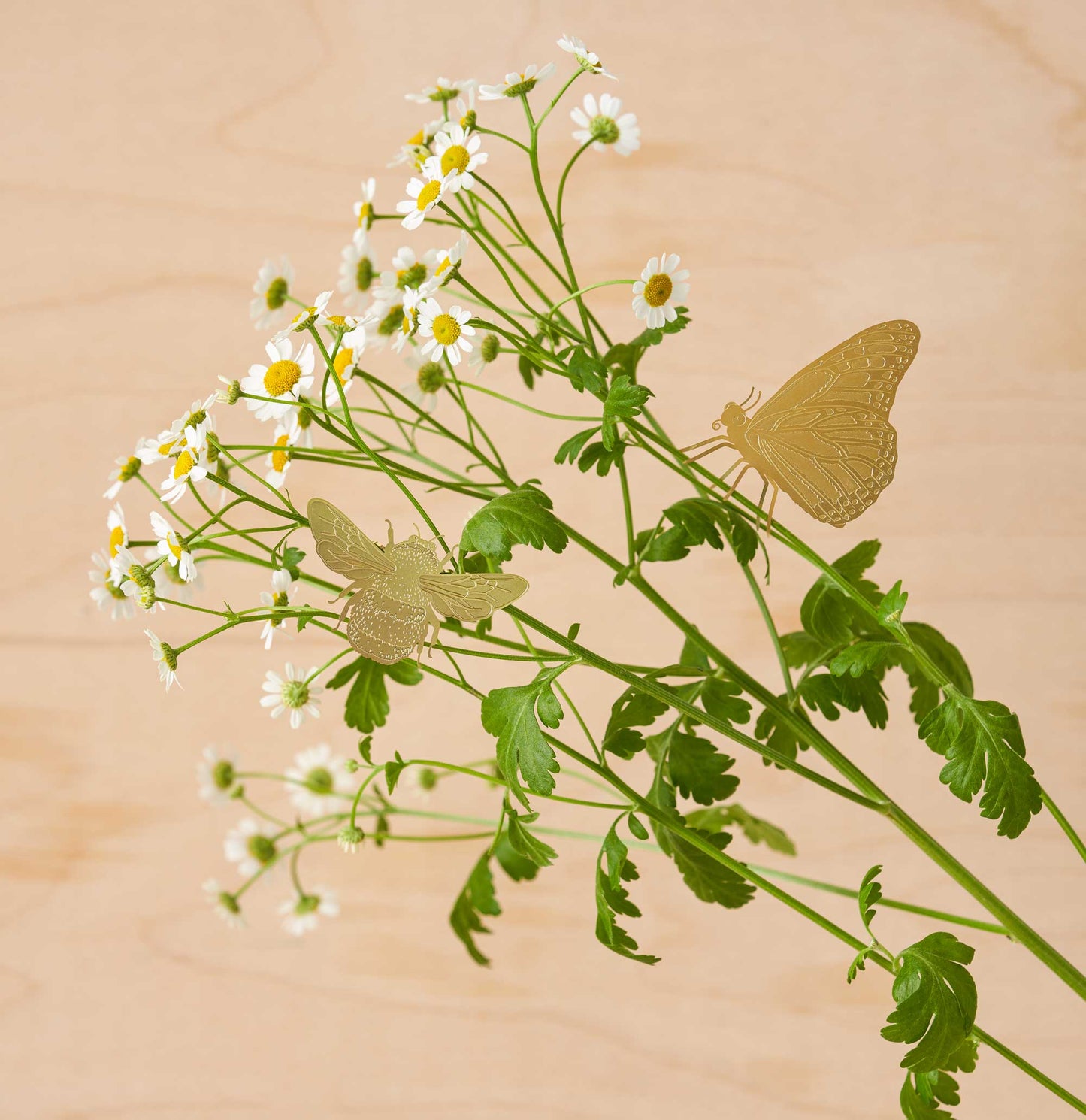 Butterfly, house plant decoration