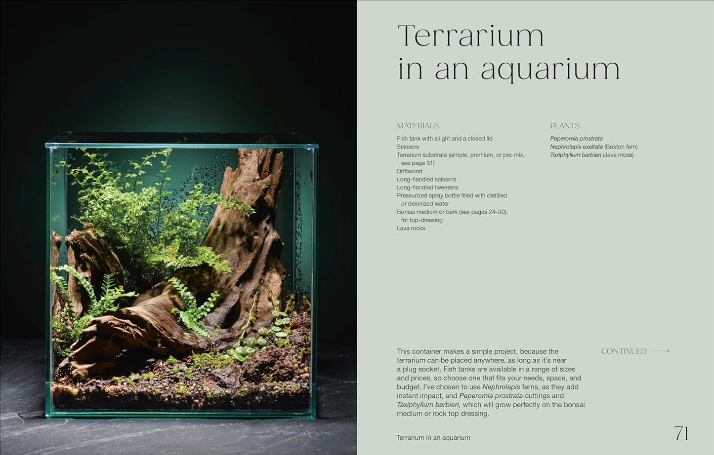 Terrarium setup inside an aquarium with text on the right side.