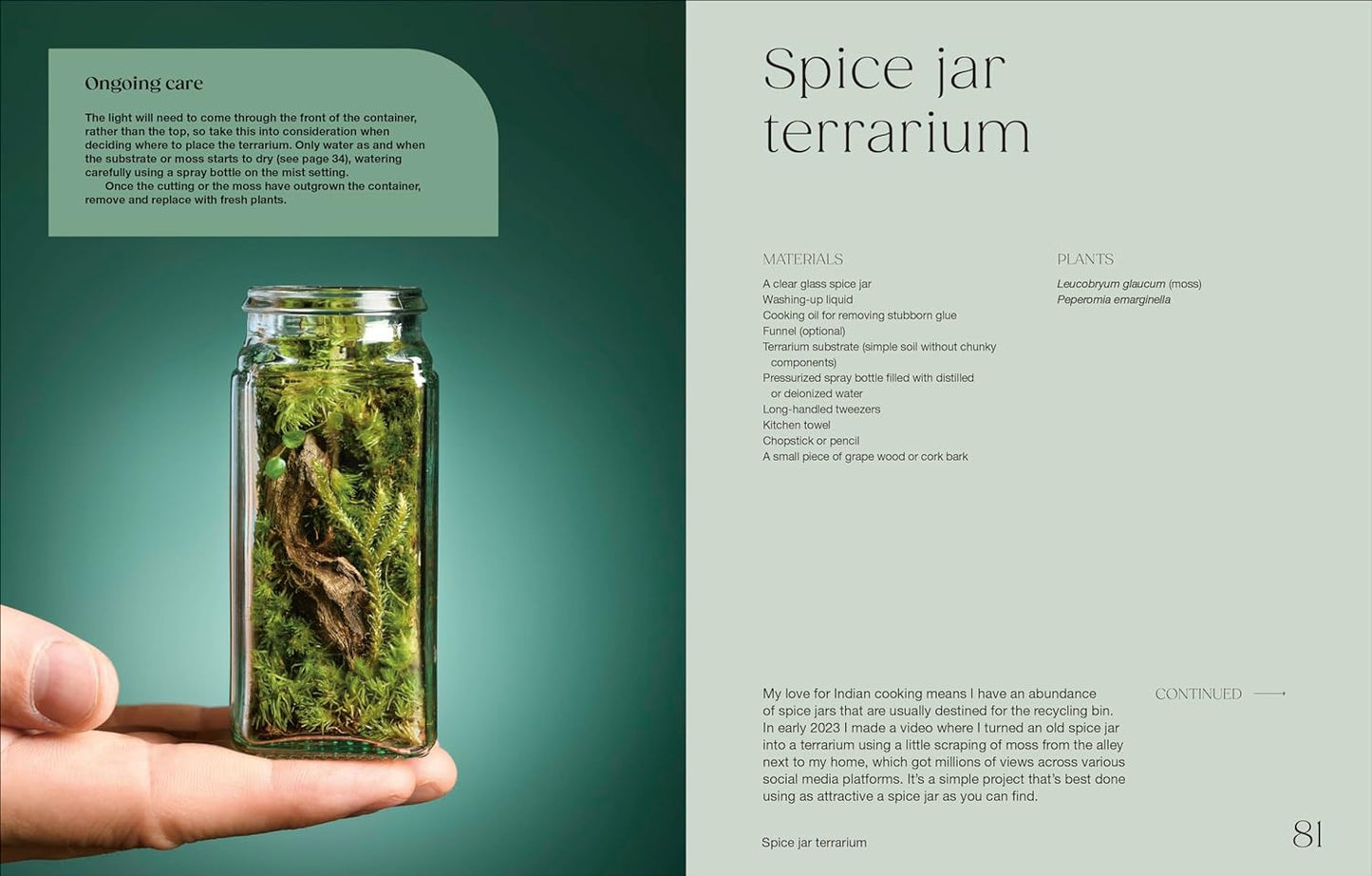 Spice jar terrarium held in a hand with text on a green background