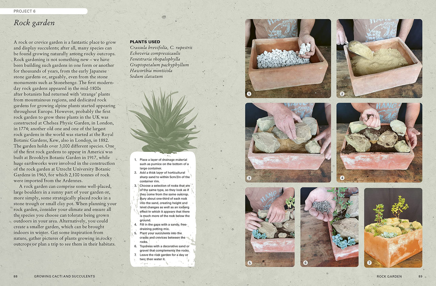 Step-by-step guide to creating a rock garden with text and images of gardening activities.
