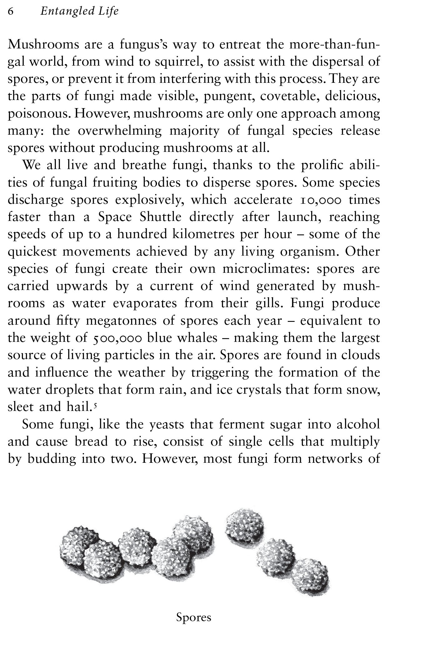 Text about mushrooms and their role in dispersing spores, with a black and white illustration of spores at the bottom.
