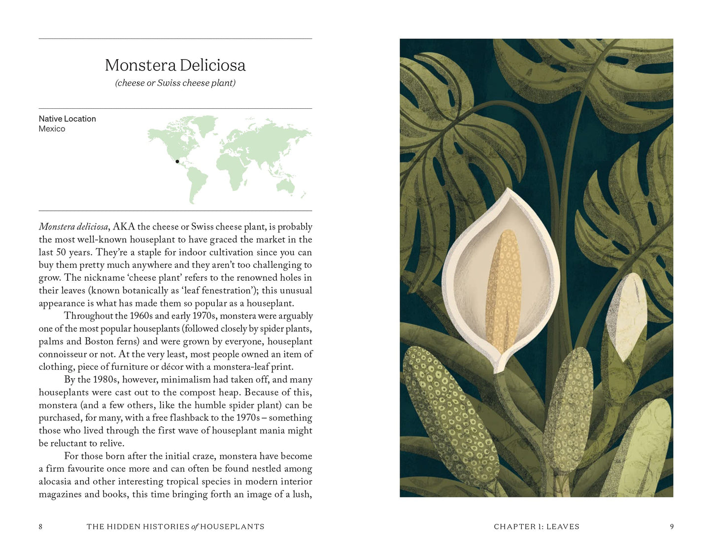 Book page with illustration of Monstera Deliciosa plant and text on a world map background.