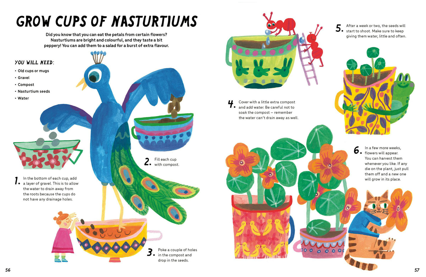 Illustrated gardening guide with a peacock and plants on a white background