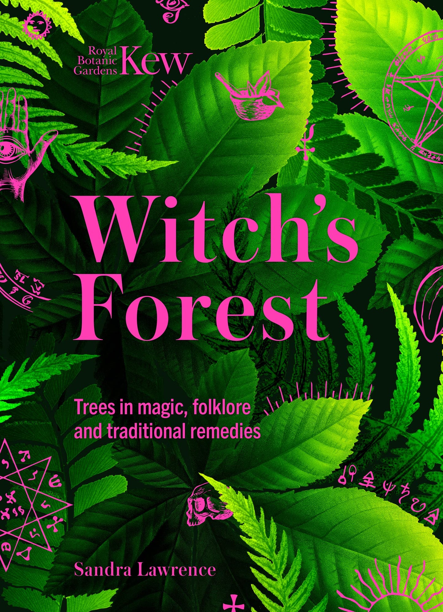 Book cover of 'Witch's Forest' with green leaves and pink text.