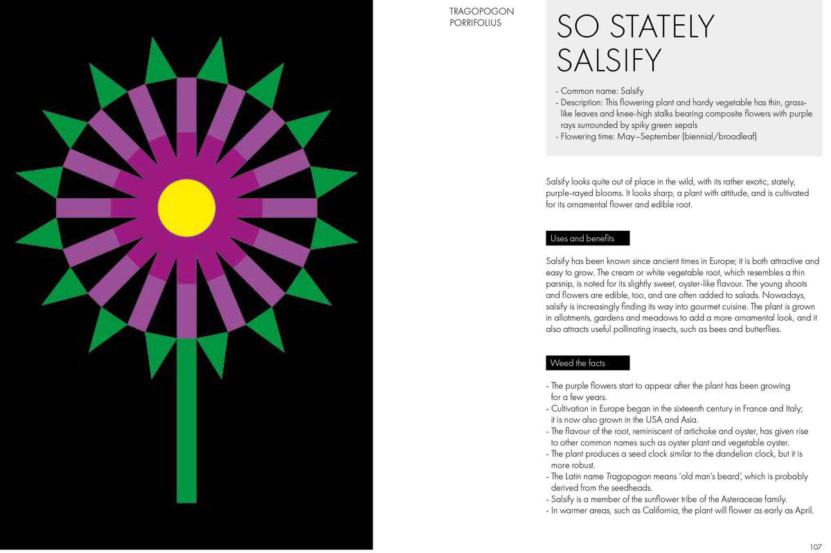 A printed page spread featuring a colorful flower illustration on the left and text about the plant Tridocodon podophyllum on the right, with the headline 'SO STATELY SALSIFY'.