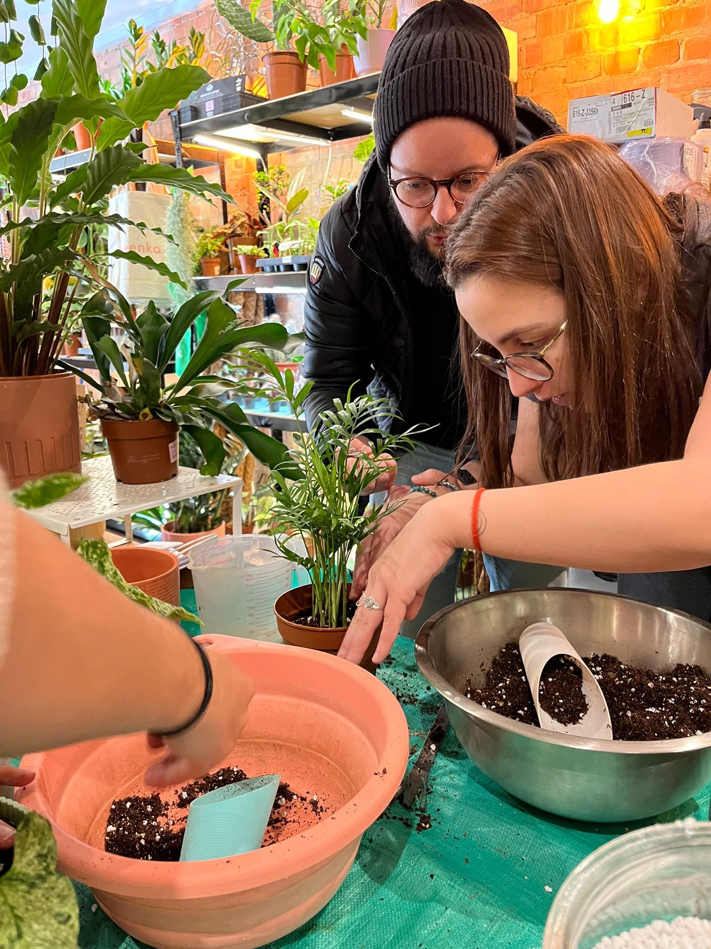 people around a table repotting a small palm plant