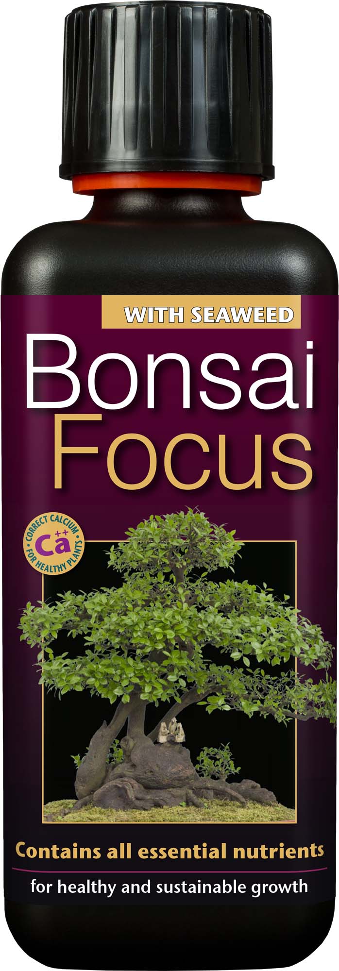 Bonsai Focus fertilizer bottle with a bonsai tree illustration on a purple background