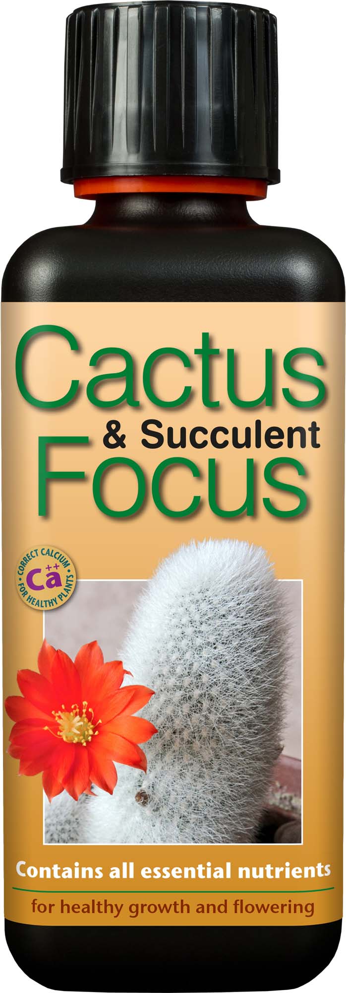 Cactus and succulent fertilizer bottle with label and illustration of a cactus.