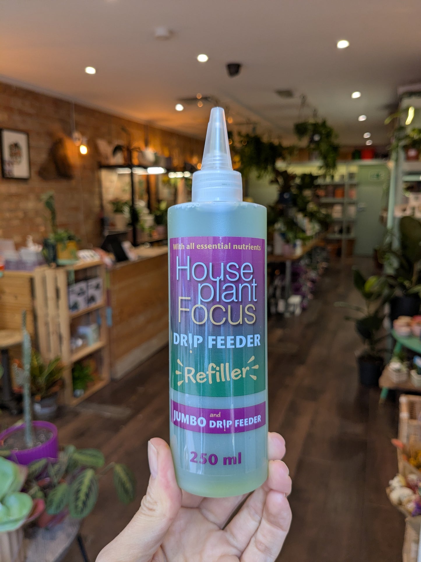 Houseplant Focus Drip Feeders