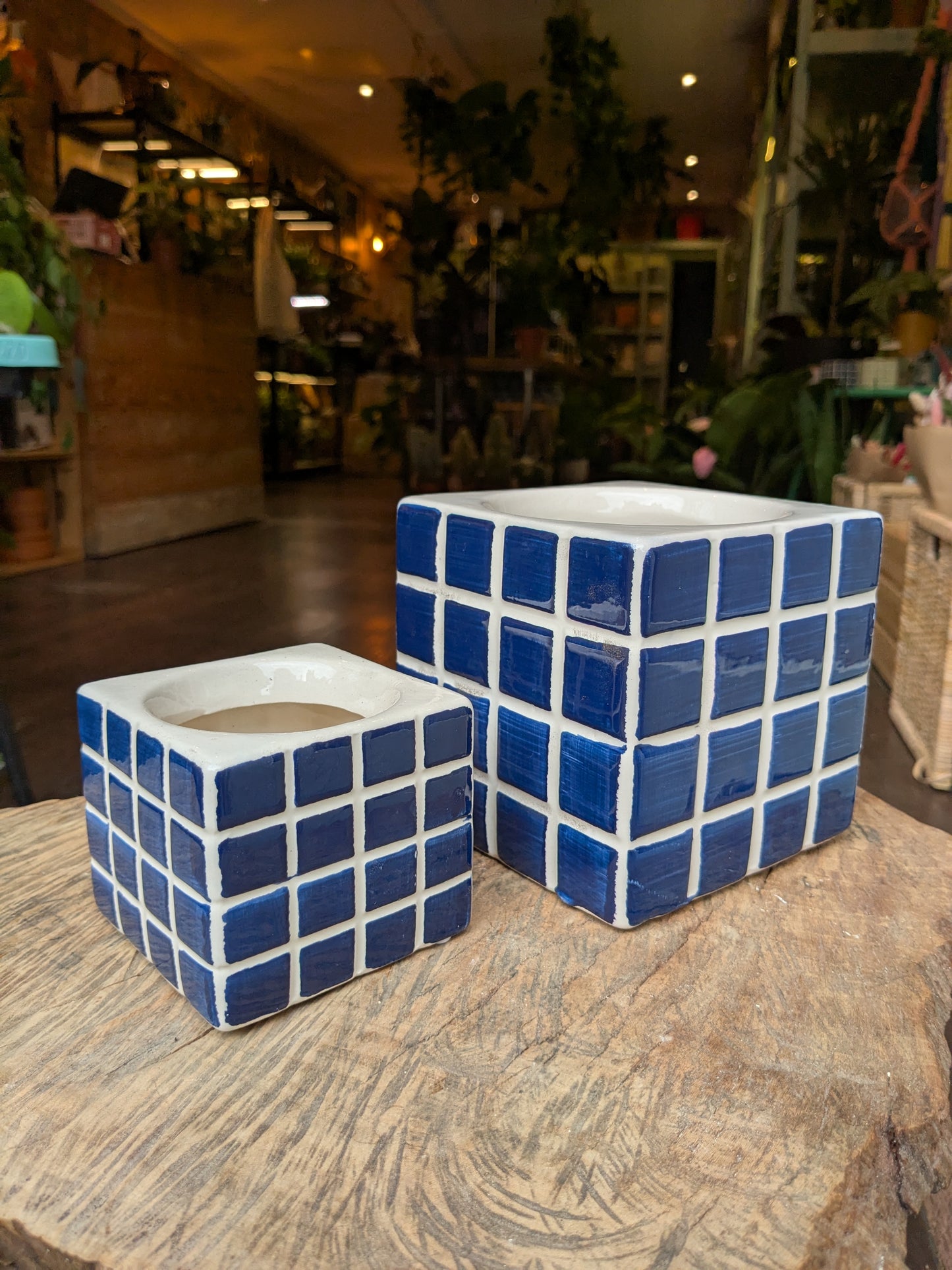 Two blue and white checkered ceramic planters on a wooden surface with a blurred indoor background.