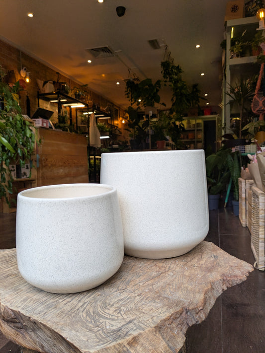 Two white planters on a stone surface with a store interior in the background