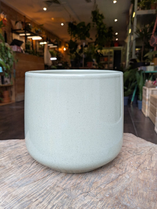 White ceramic pot on a wooden surface with a blurred indoor setting in the background