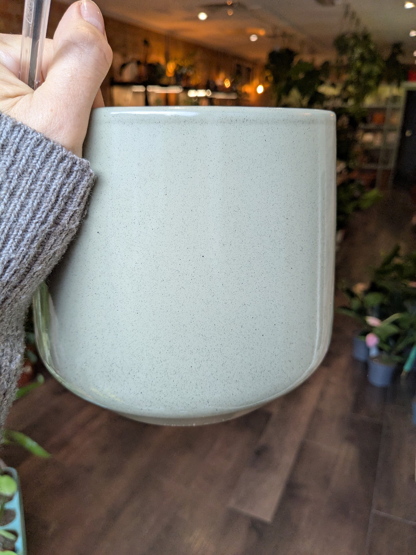 Berlin Kiwi Pot