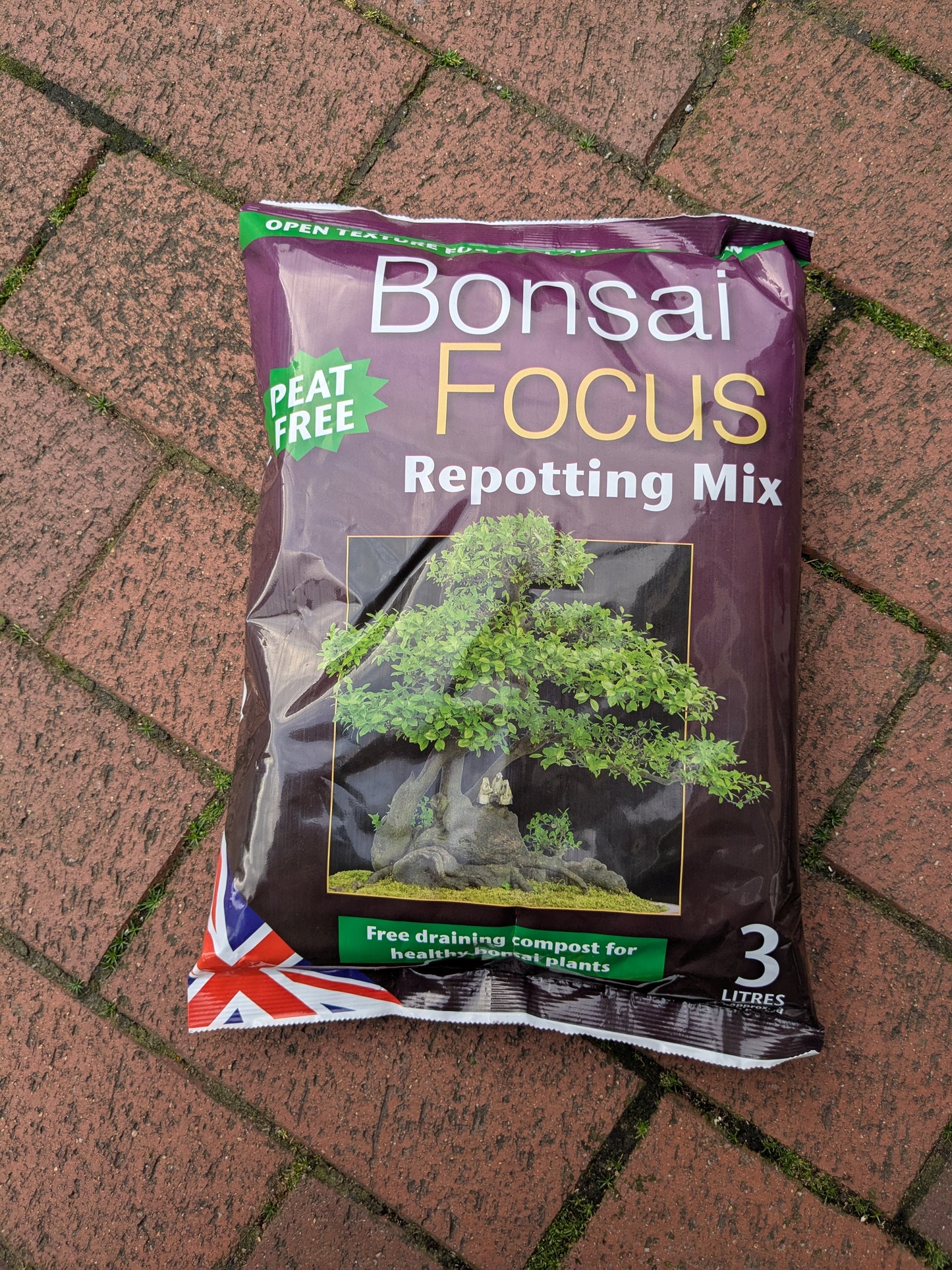 Bag of Bonsai Focus Repotting Mix on a brick surface
