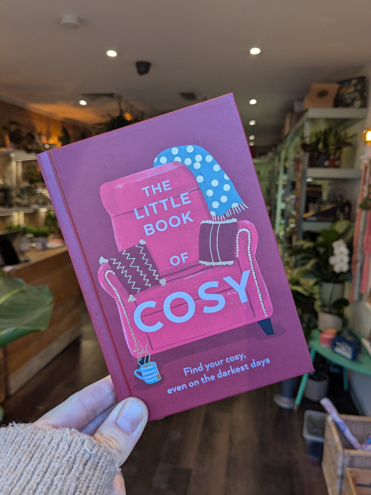 The Little Book of Cosy (HB)