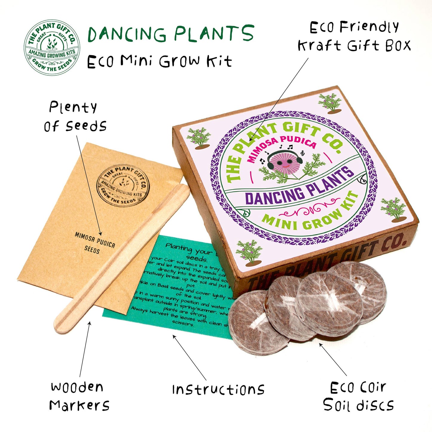 Eco-friendly Dancing Plants Mini Grow Kit from The Plant Pudica Co. with box, seeds, markers, and soil discs.