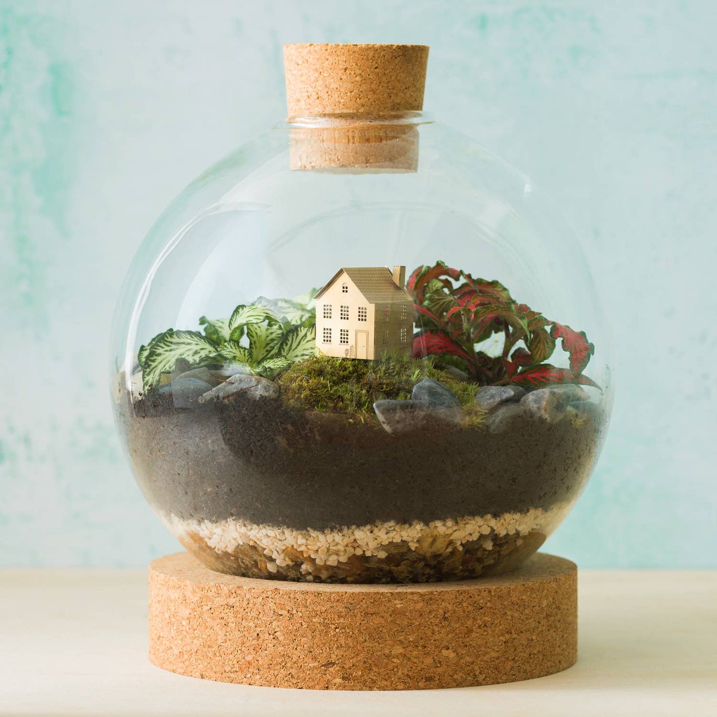 Glass terrarium with a miniature house and plants on a cork base against a light blue background