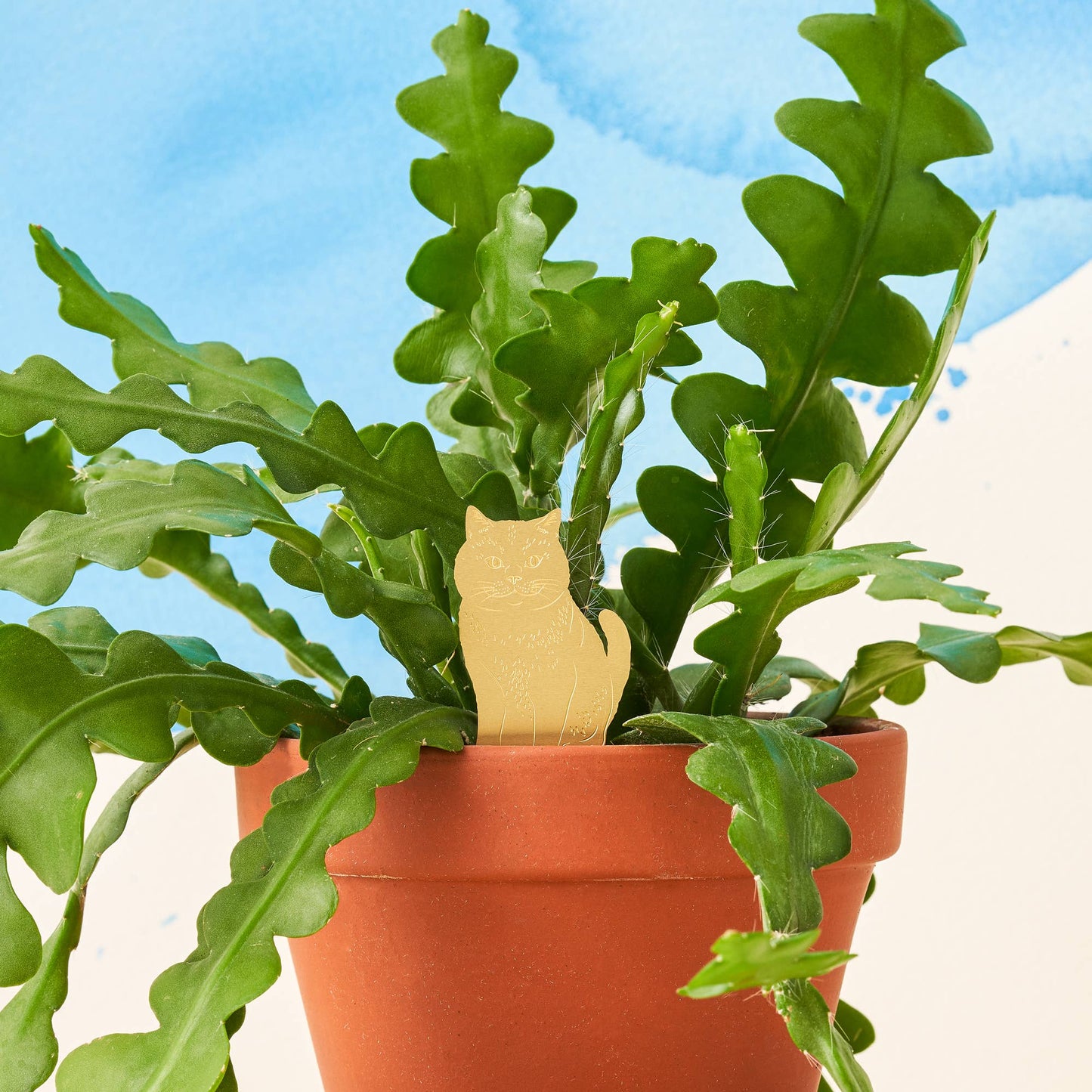 Cat, Plant Animal Pet, brass houseplant and pot decoration