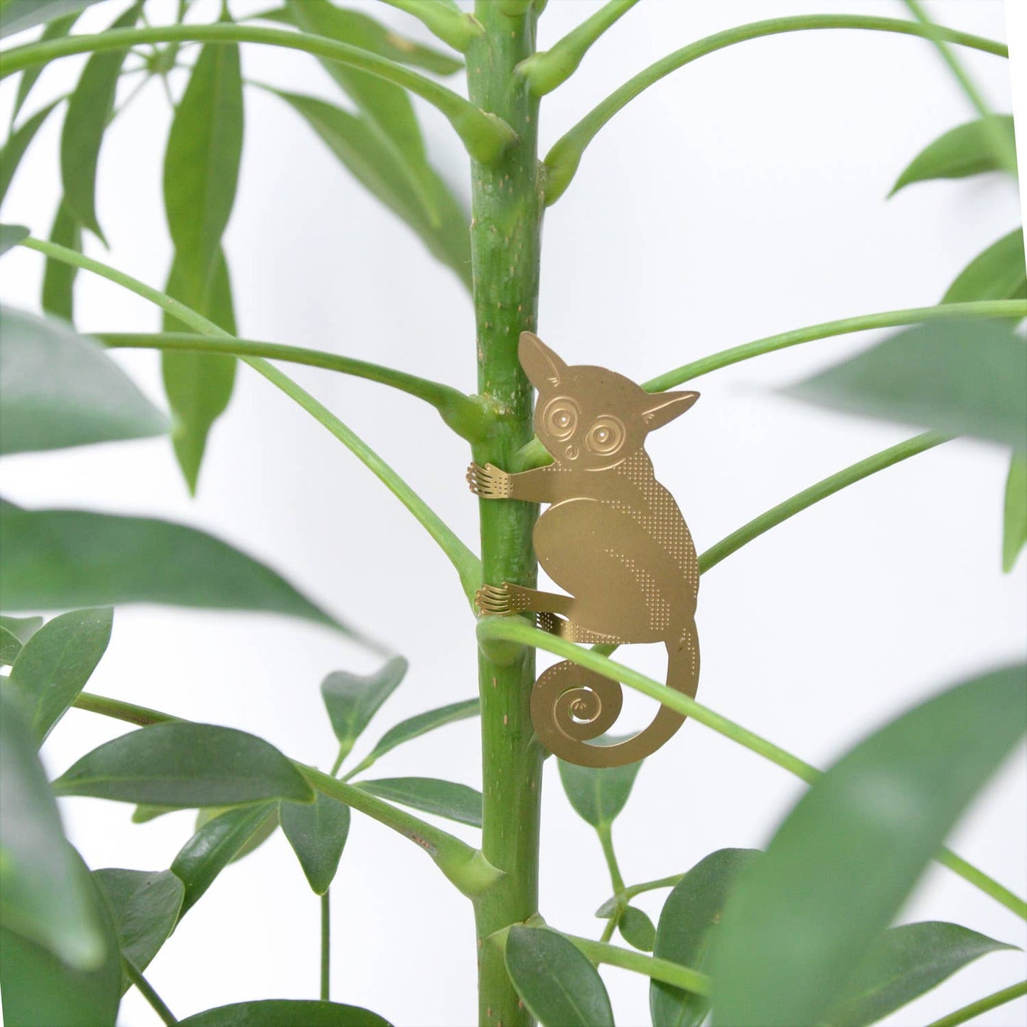 Plant Animal - Bush Baby, plant hugger decoration