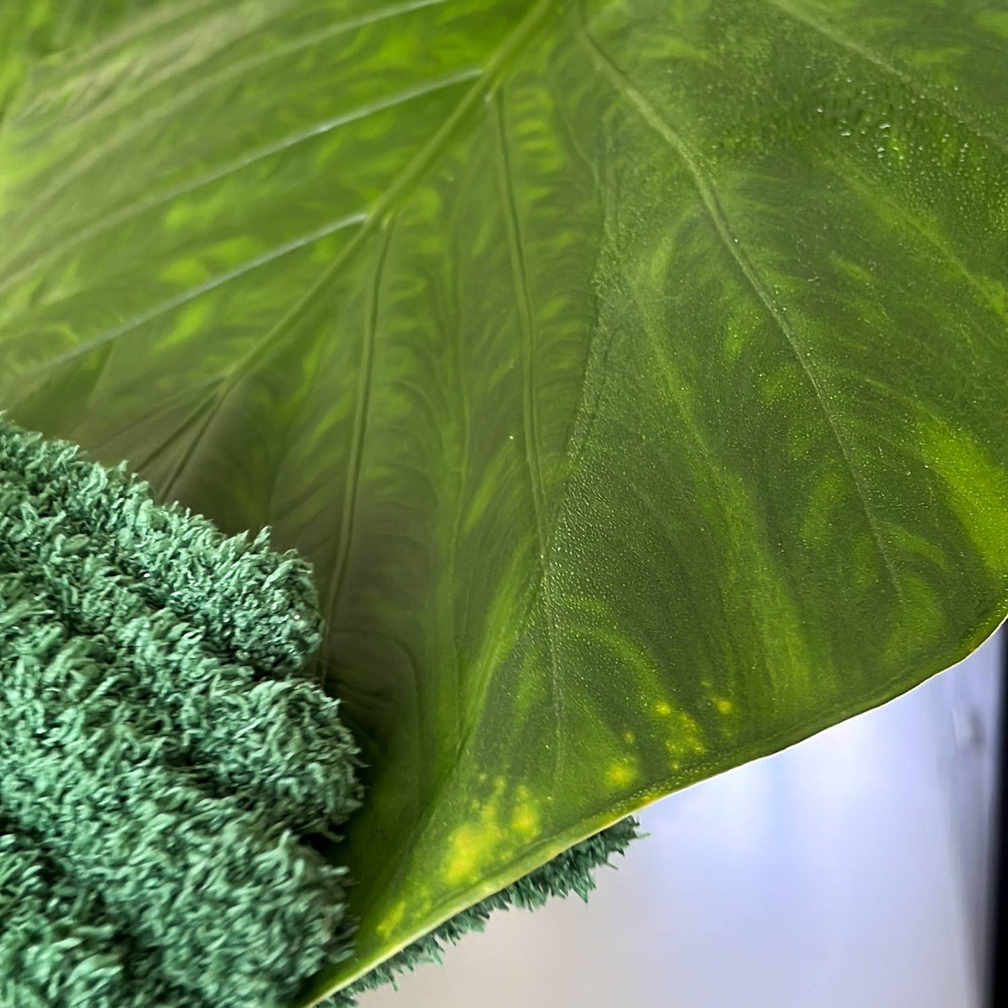 Leaf Love Gloves – Eco Plant Care by Botanopia