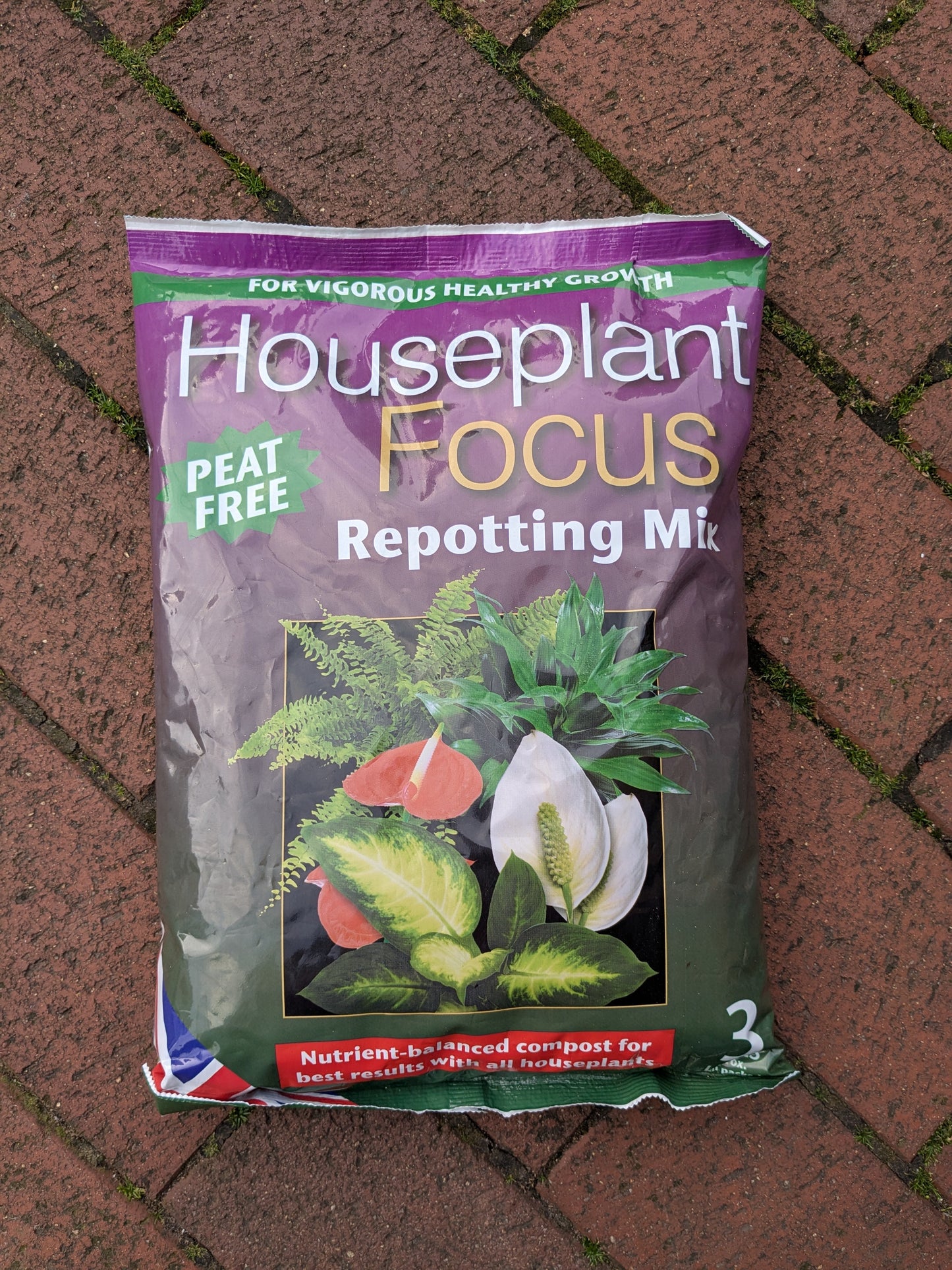Bag of Houseplant Focus Repotting Mix on a brick surface