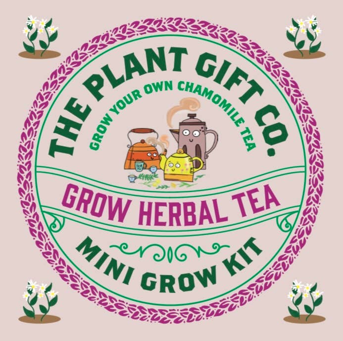 The Plant Gift Co. herbal tea mini grow kit packaging with illustrations of teapots and plants.