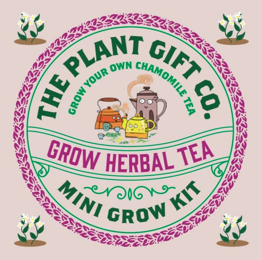 The Plant Gift Co. herbal tea mini grow kit packaging with illustrations of teapots and plants.