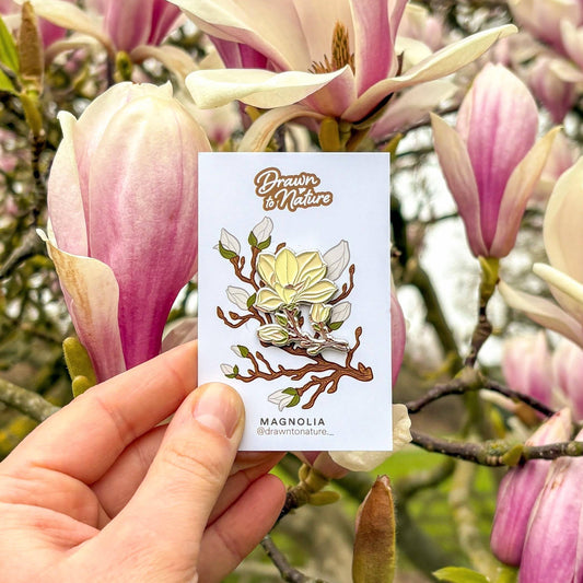 Hand holding a card with a magnolia illustration in front of pink magnolia flowers.