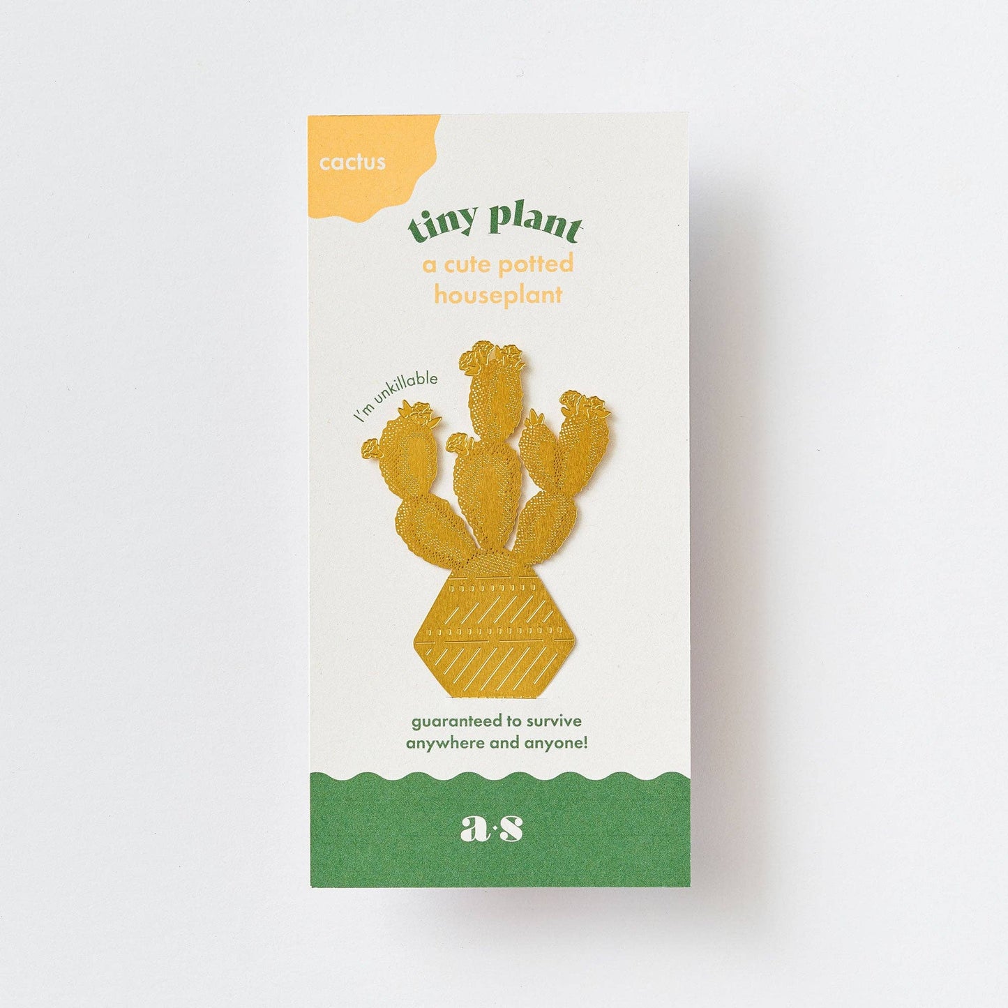 Packaging for a cactus plant with text on a white background