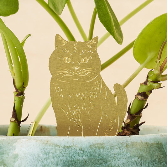 Cat, Plant Animal Pet, brass houseplant and pot decoration