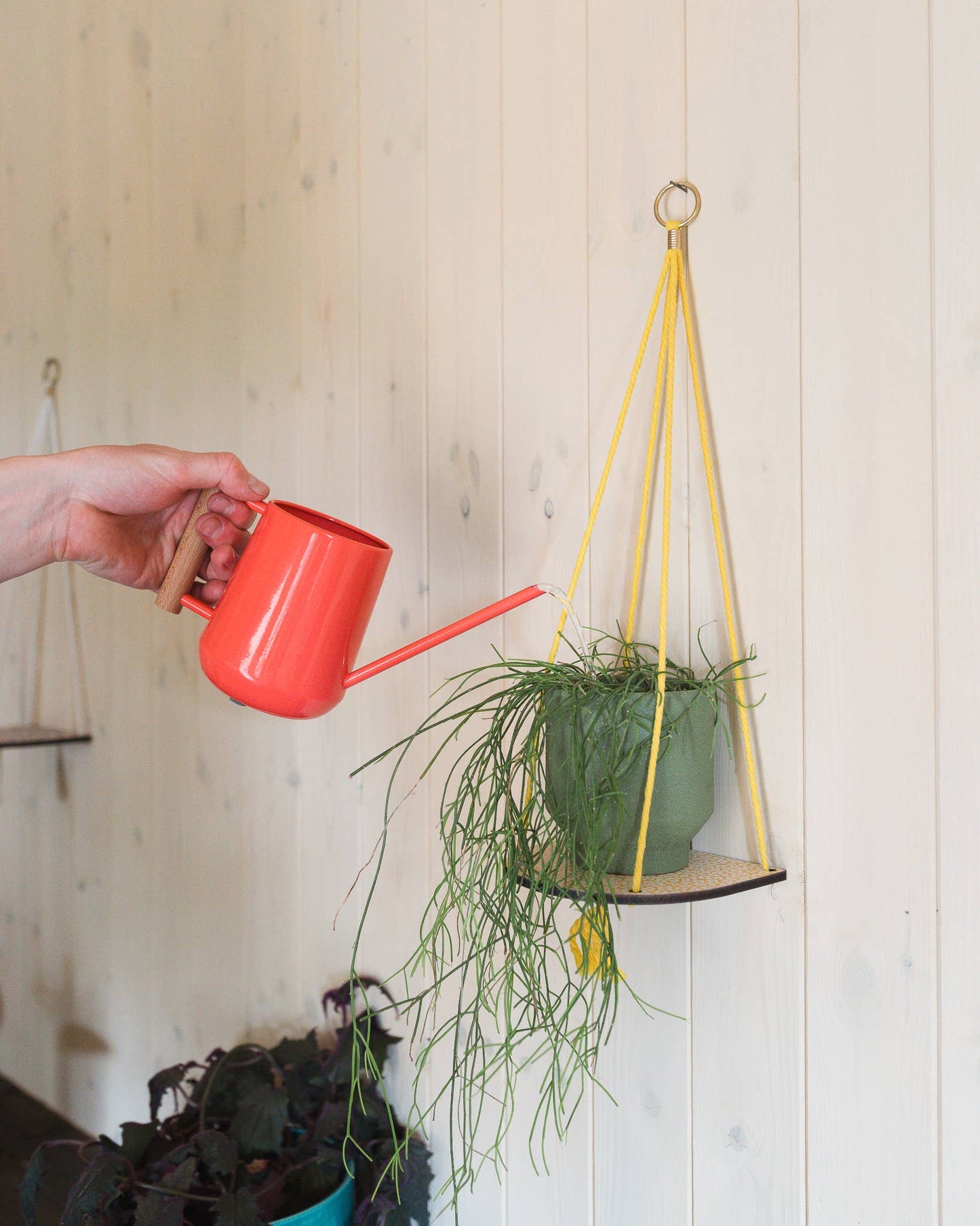 Person watering a plant in a hanging basket with a red watering can against a wooden wall.