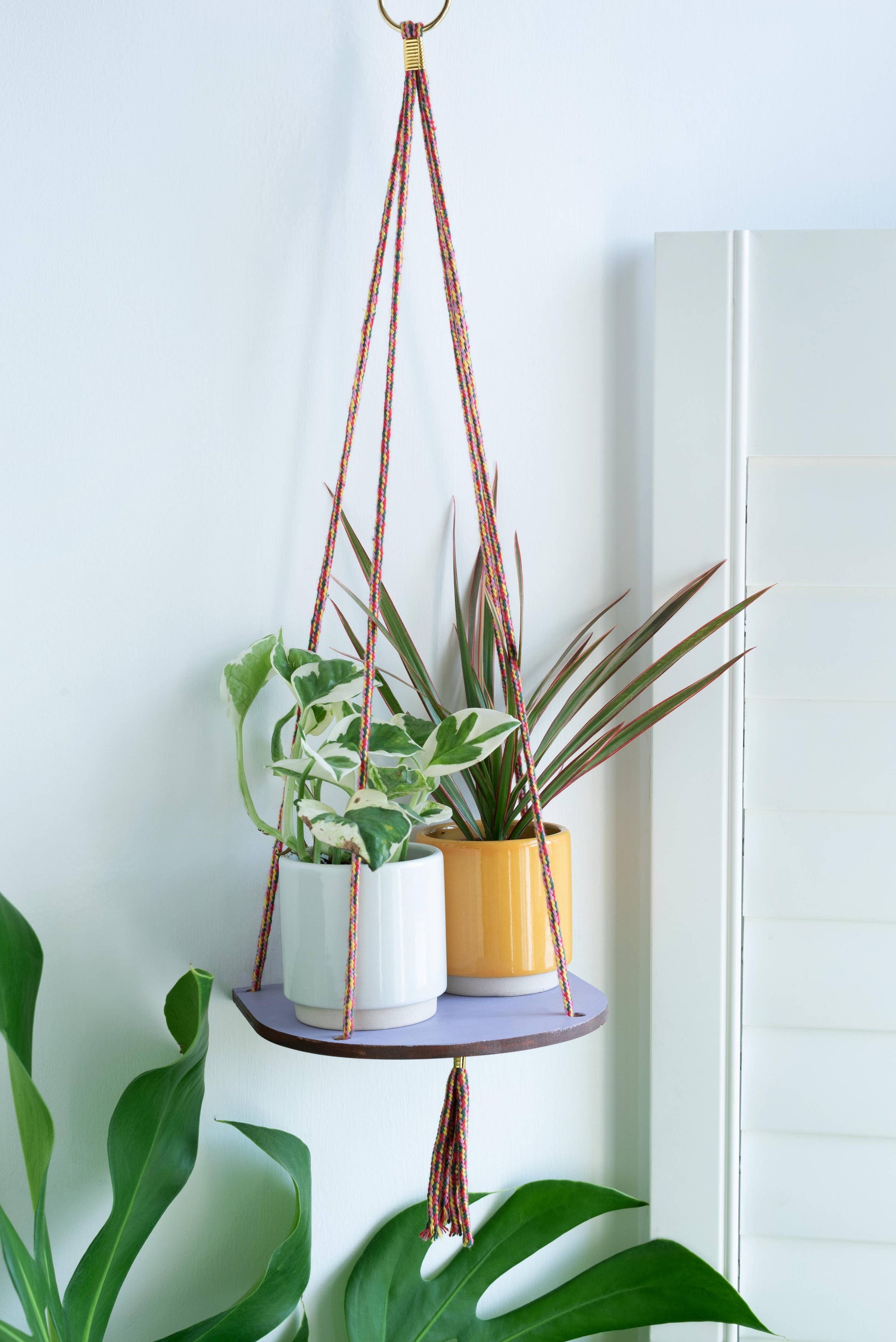 Hanging plant holder with two plants against a light blue wall