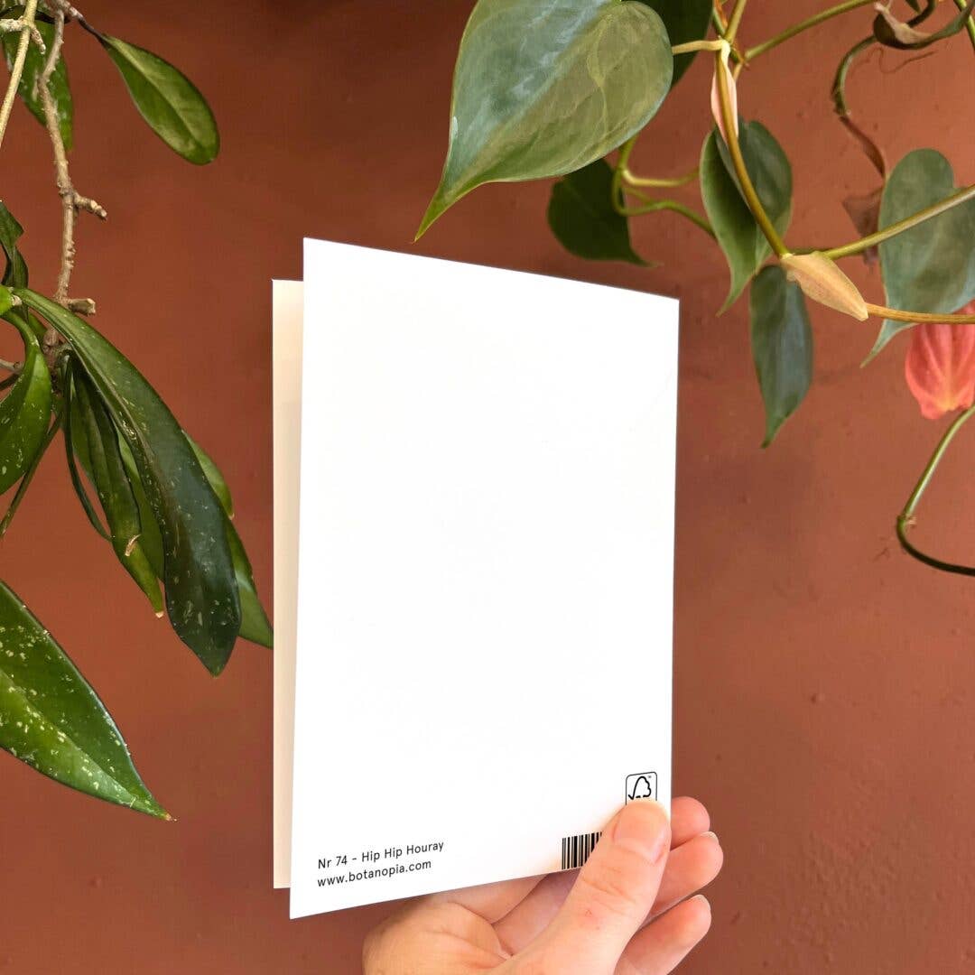 Hip Hip Houray | Birthday Card | Congratulations Card