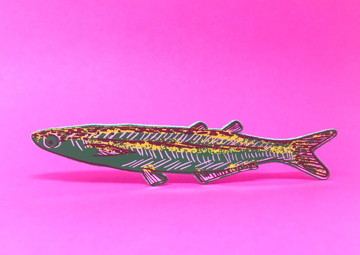 Colorful fish-shaped object on a pink background