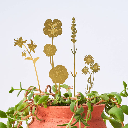Brass Bloom Herbs, floral decor, metal plant pot pal