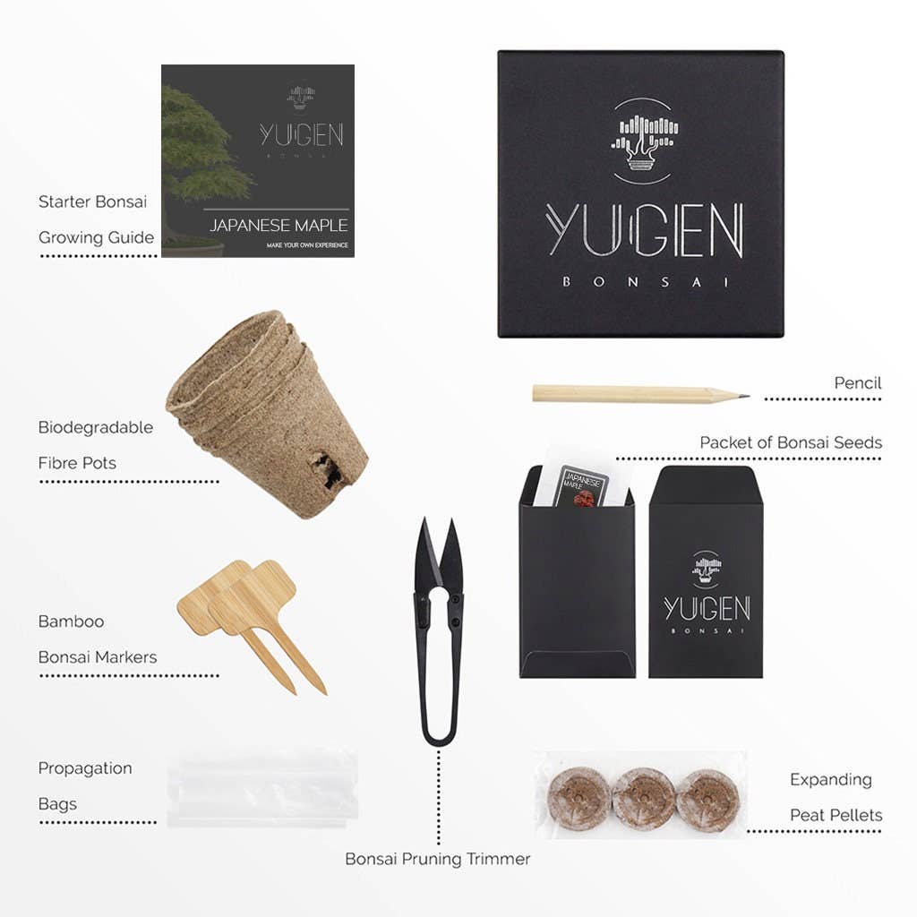 Yugen Bonsai starter kit with various tools and materials on a white background
