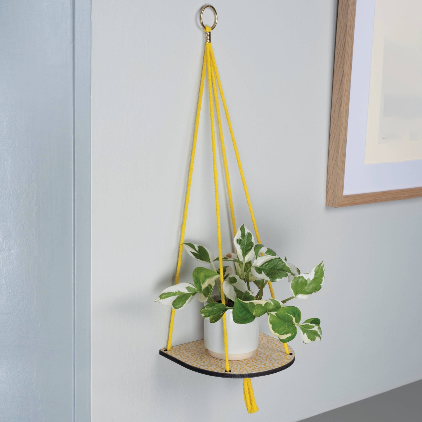 Hanging plant shelf with yellow ropes against a light gray wall.
