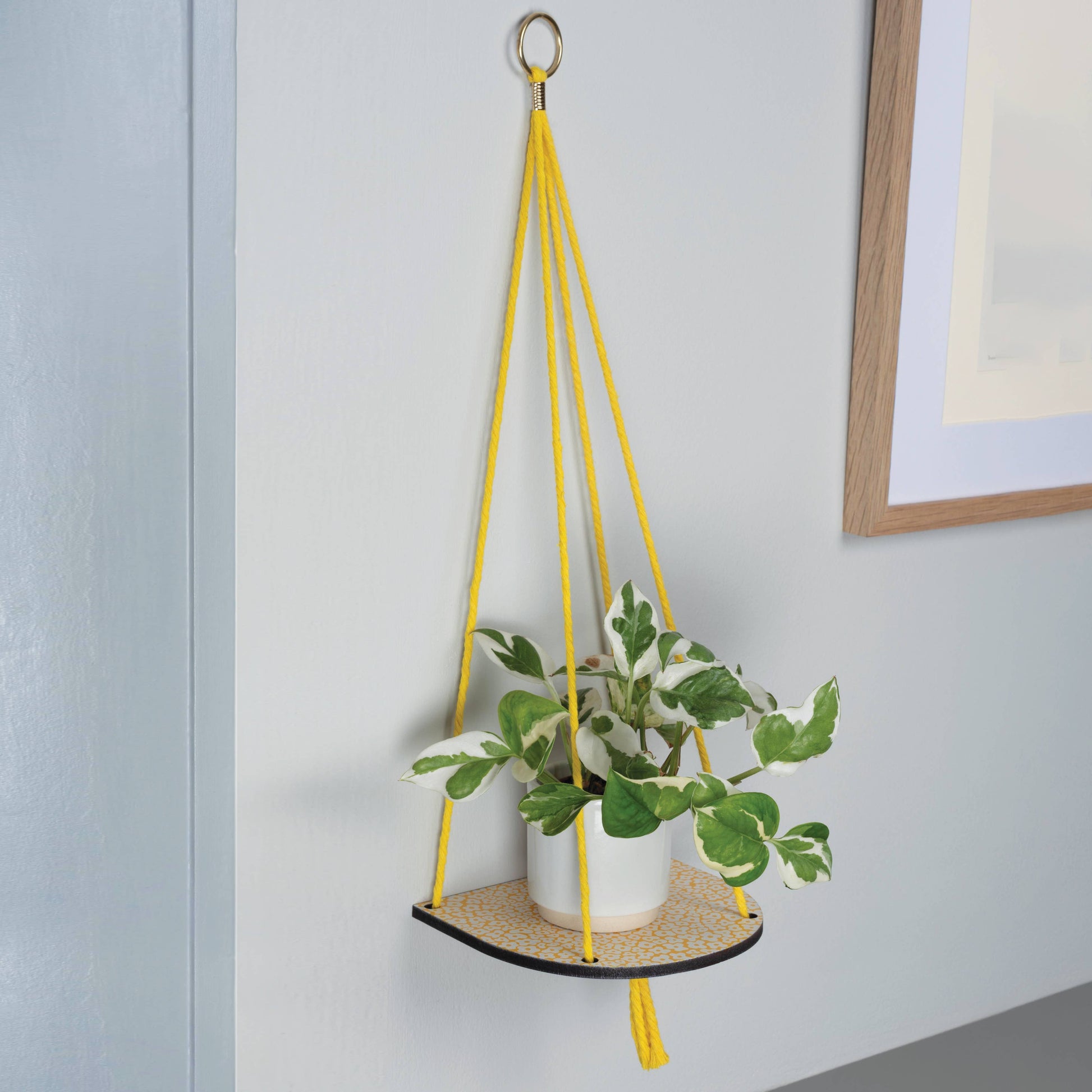 Hanging plant shelf with yellow ropes against a light gray wall.