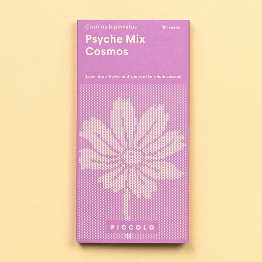 Purple packet of Piccolo Psyche Mix Cosmos seeds on a beige background