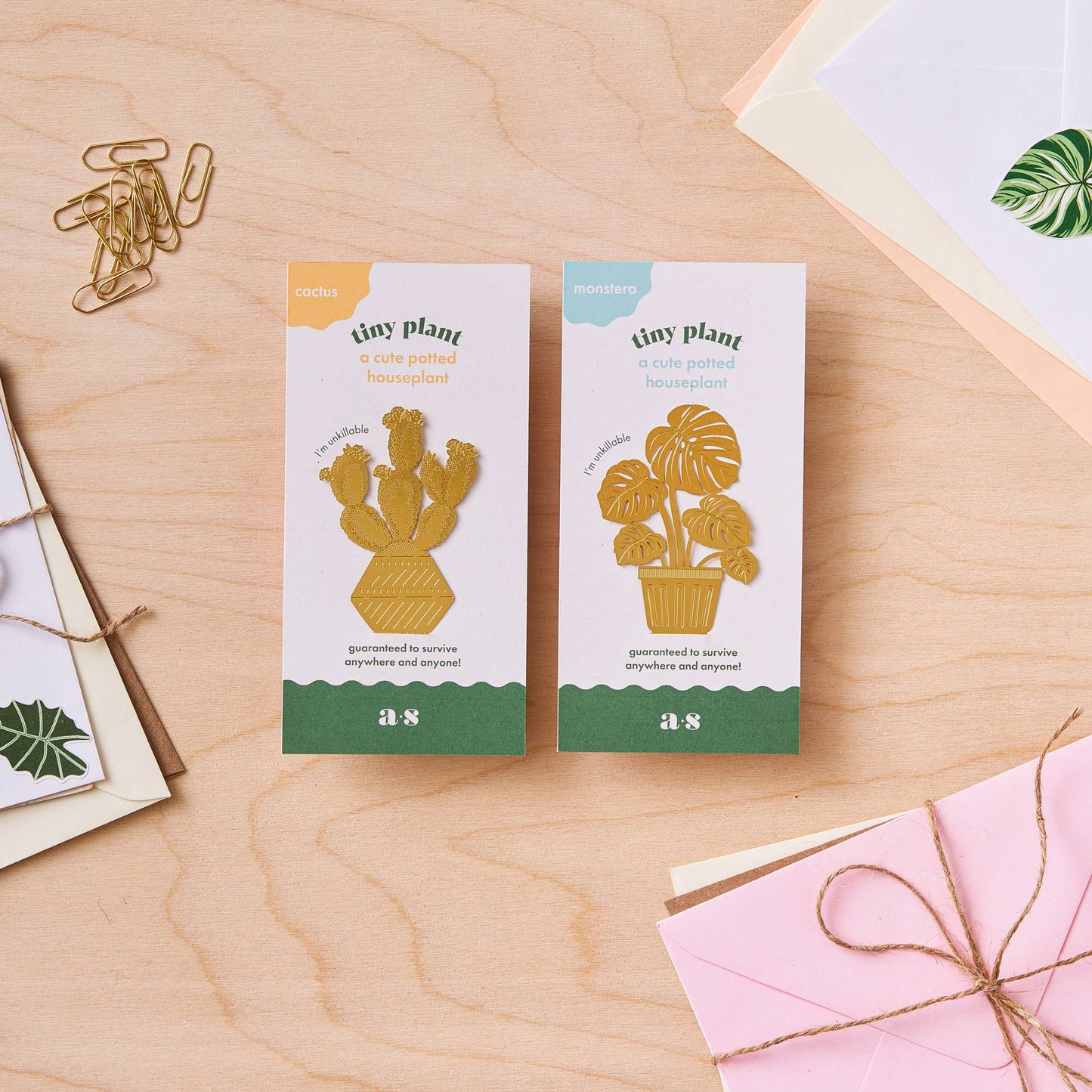 Two small plant packaging boxes with cactus illustrations on a wooden surface.