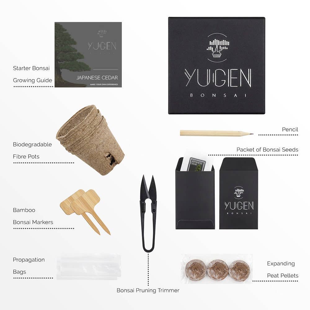 Yugen Bonsai starter kit with various components on a white background