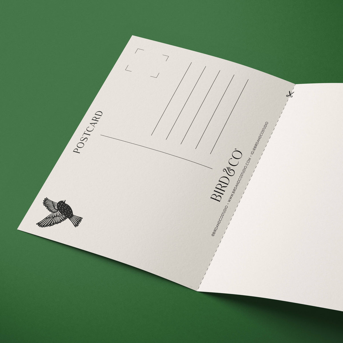 Open postcard with 'Bird & Co' branding on a green background